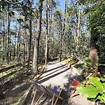 Vitanova - Maison Familiale 8 Pers. - Golf & Pistes Cyclables A Proximite - Ocean Mae-0391 Lacanau